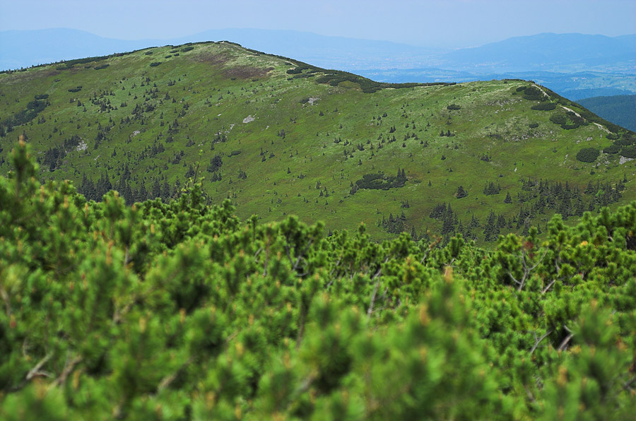 Beskid Żywiecki (Polskie góry)